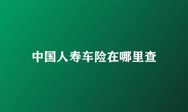 中国人寿车险在哪里查