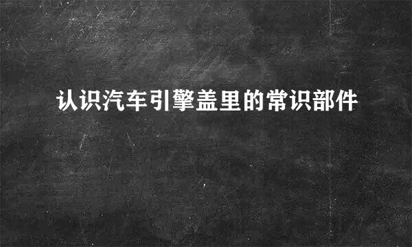 认识汽车引擎盖里的常识部件