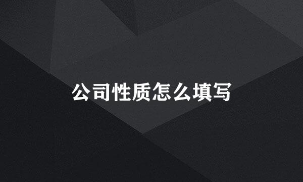 公司性质怎么填写