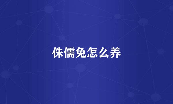 侏儒兔怎么养