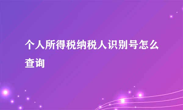 个人所得税纳税人识别号怎么查询