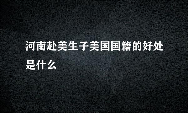 河南赴美生子美国国籍的好处是什么