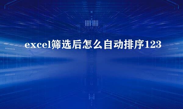 excel筛选后怎么自动排序123