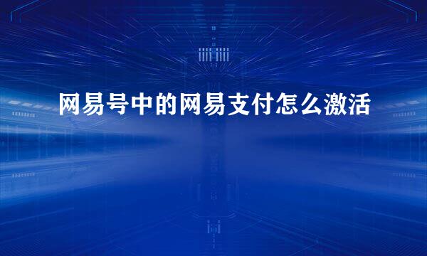 网易号中的网易支付怎么激活