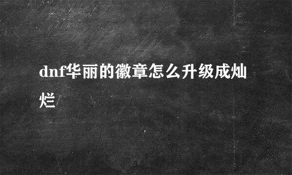 dnf华丽的徽章怎么升级成灿烂