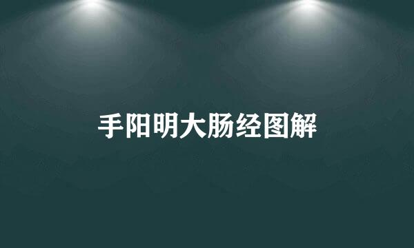 手阳明大肠经图解