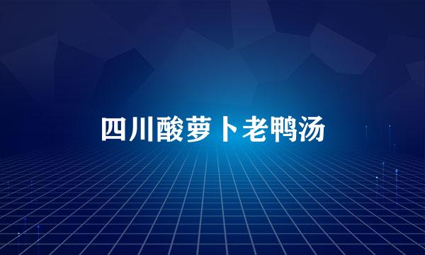 四川酸萝卜老鸭汤