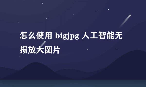怎么使用 bigjpg 人工智能无损放大图片