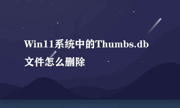 Win11系统中的Thumbs.db文件怎么删除