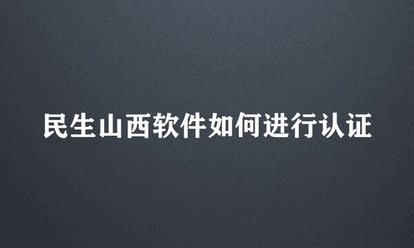 民生山西软件如何进行认证