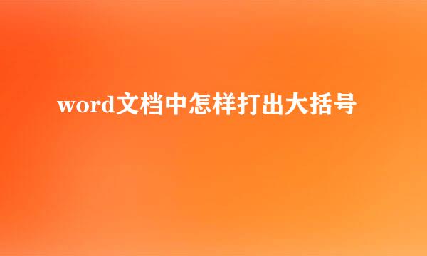 word文档中怎样打出大括号