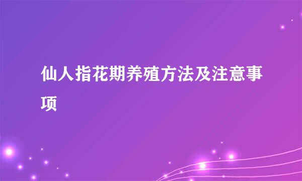 仙人指花期养殖方法及注意事项