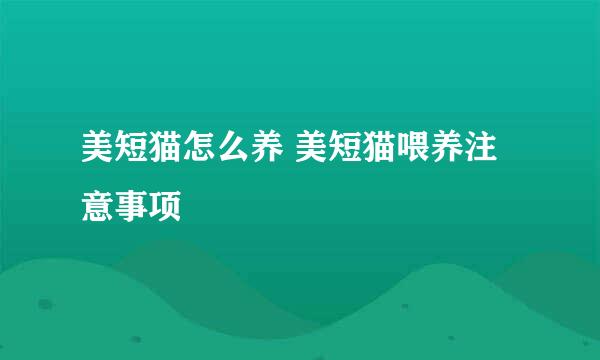 美短猫怎么养 美短猫喂养注意事项