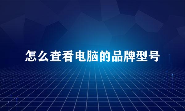 怎么查看电脑的品牌型号