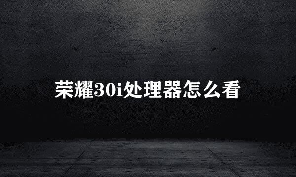 荣耀30i处理器怎么看