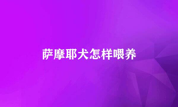 萨摩耶犬怎样喂养