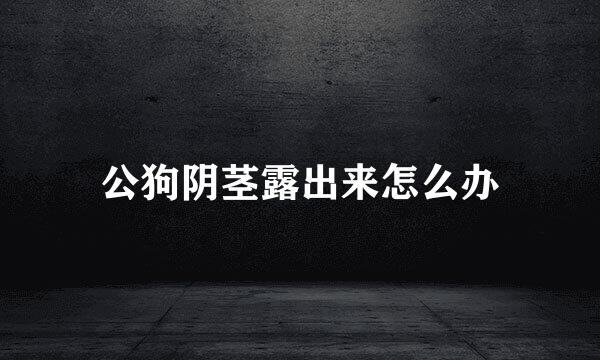 公狗阴茎露出来怎么办
