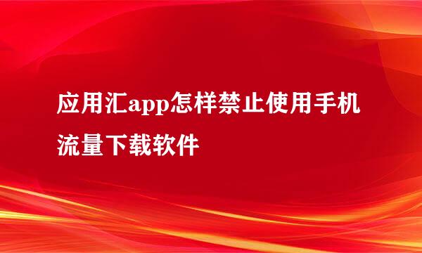 应用汇app怎样禁止使用手机流量下载软件