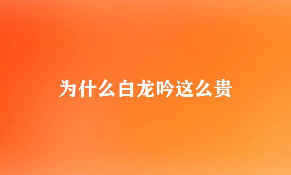 为什么白龙吟这么贵