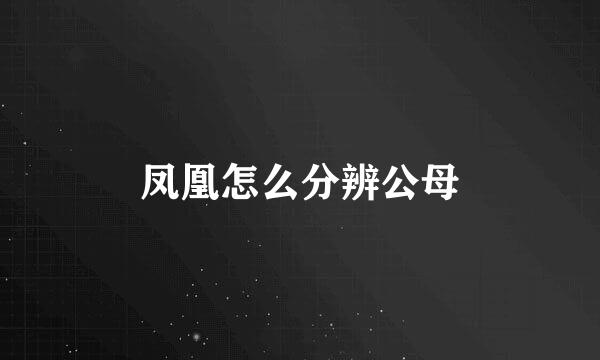 凤凰怎么分辨公母