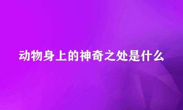 动物身上的神奇之处是什么