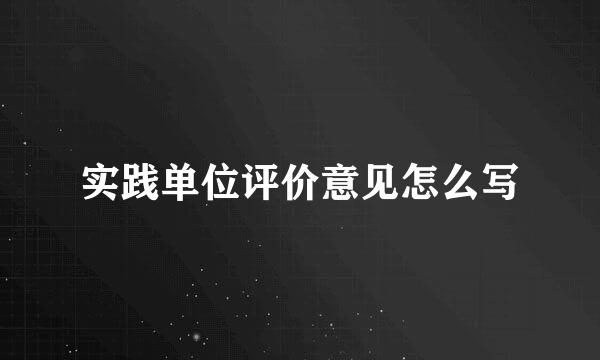 实践单位评价意见怎么写