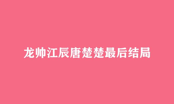 龙帅江辰唐楚楚最后结局
