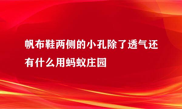 帆布鞋两侧的小孔除了透气还有什么用蚂蚁庄园