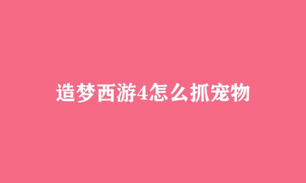造梦西游4怎么抓宠物