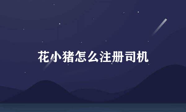 花小猪怎么注册司机