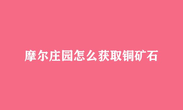 摩尔庄园怎么获取铜矿石