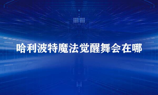 哈利波特魔法觉醒舞会在哪