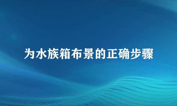 为水族箱布景的正确步骤