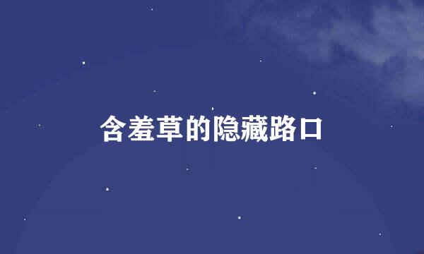 含羞草的隐藏路口