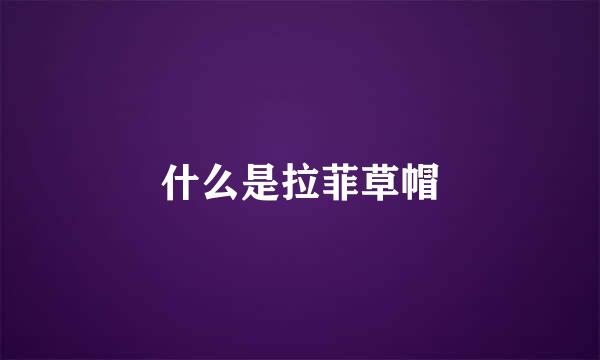 什么是拉菲草帽