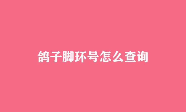 鸽子脚环号怎么查询