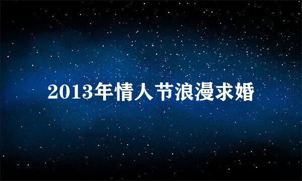 2013年情人节浪漫求婚