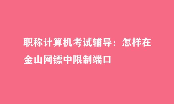 职称计算机考试辅导：怎样在金山网镖中限制端口