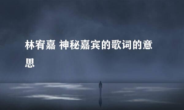 林宥嘉 神秘嘉宾的歌词的意思
