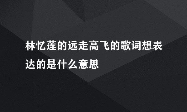 林忆莲的远走高飞的歌词想表达的是什么意思