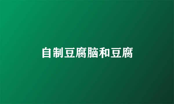 自制豆腐脑和豆腐