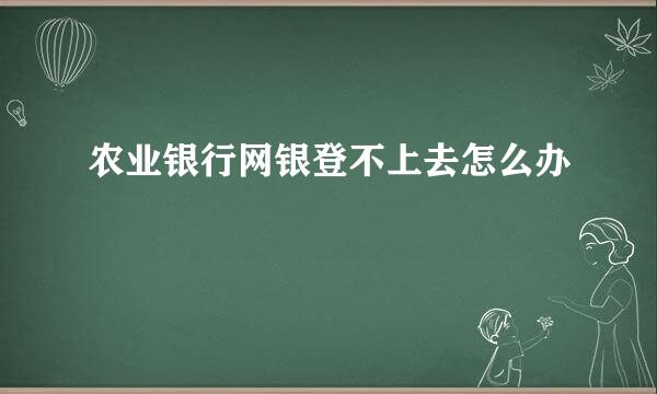 农业银行网银登不上去怎么办