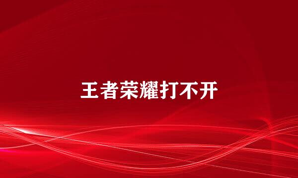 王者荣耀打不开