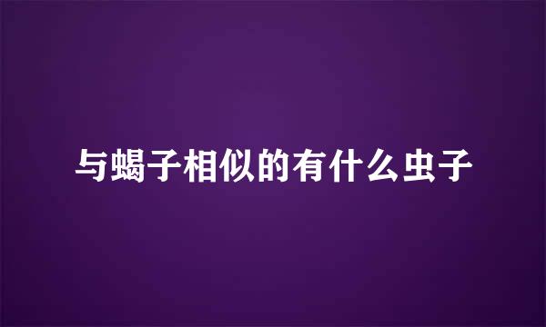 与蝎子相似的有什么虫子