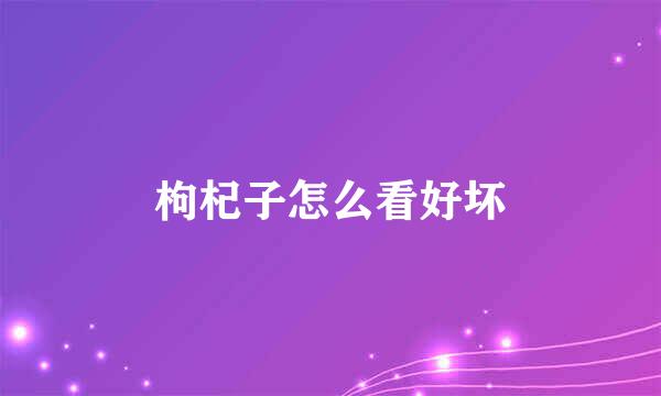 枸杞子怎么看好坏