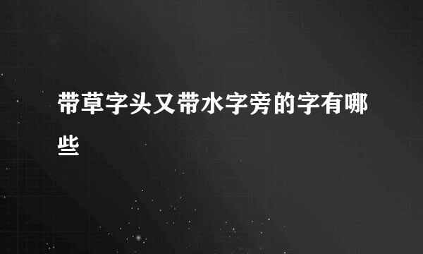 带草字头又带水字旁的字有哪些