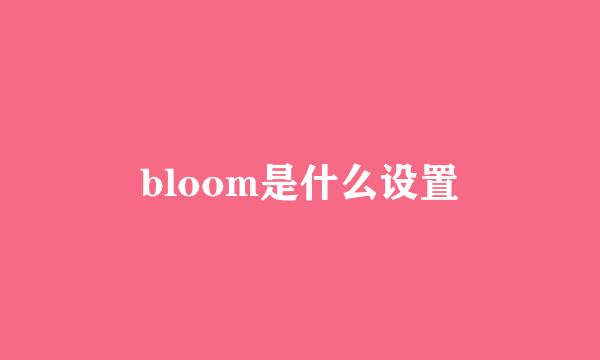 bloom是什么设置