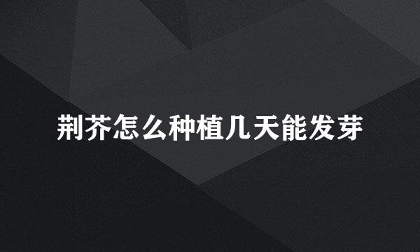 荆芥怎么种植几天能发芽