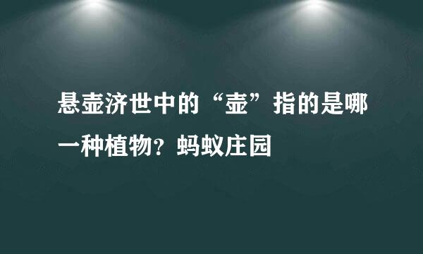 悬壶济世中的“壶”指的是哪一种植物？蚂蚁庄园