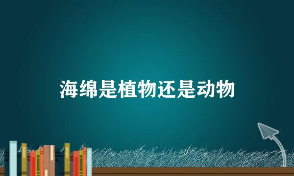 海绵是植物还是动物